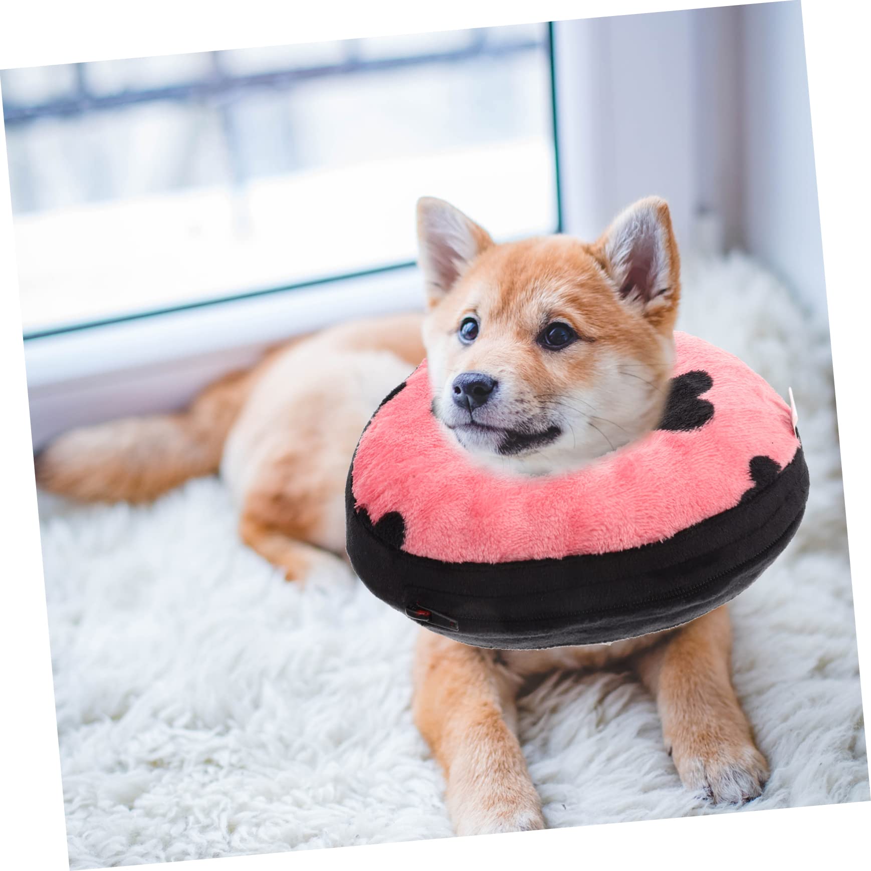 Kisangel 4piezas Collar Inflable para Gatos Protección De Cuello para De Lesiones Collar Ergonómico para Mascotas Previene Lamer y Rasguñar Heridas