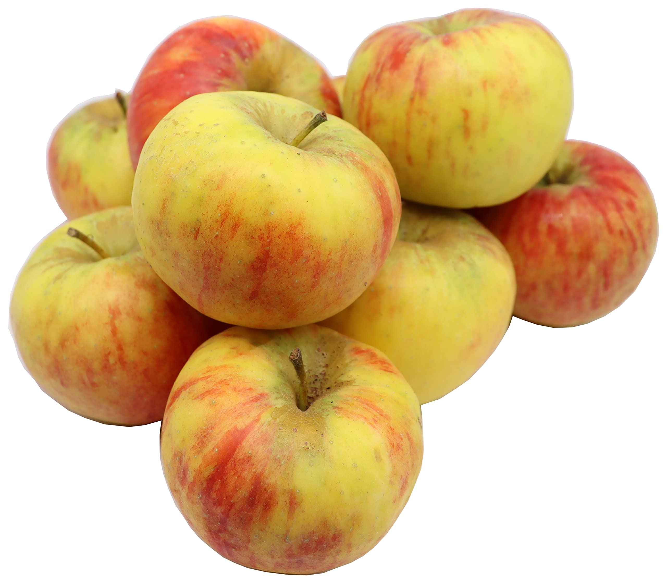 Bleichhof Äpfel Topaz - süß-säuerliche und sehr saftige Sorte aus der Pfalz (5kg)