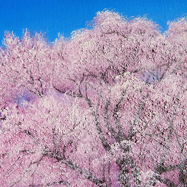 国産原料100% 特別値下げ☆ 木村由記夫『王仁塚の桜（SM号）』油彩画