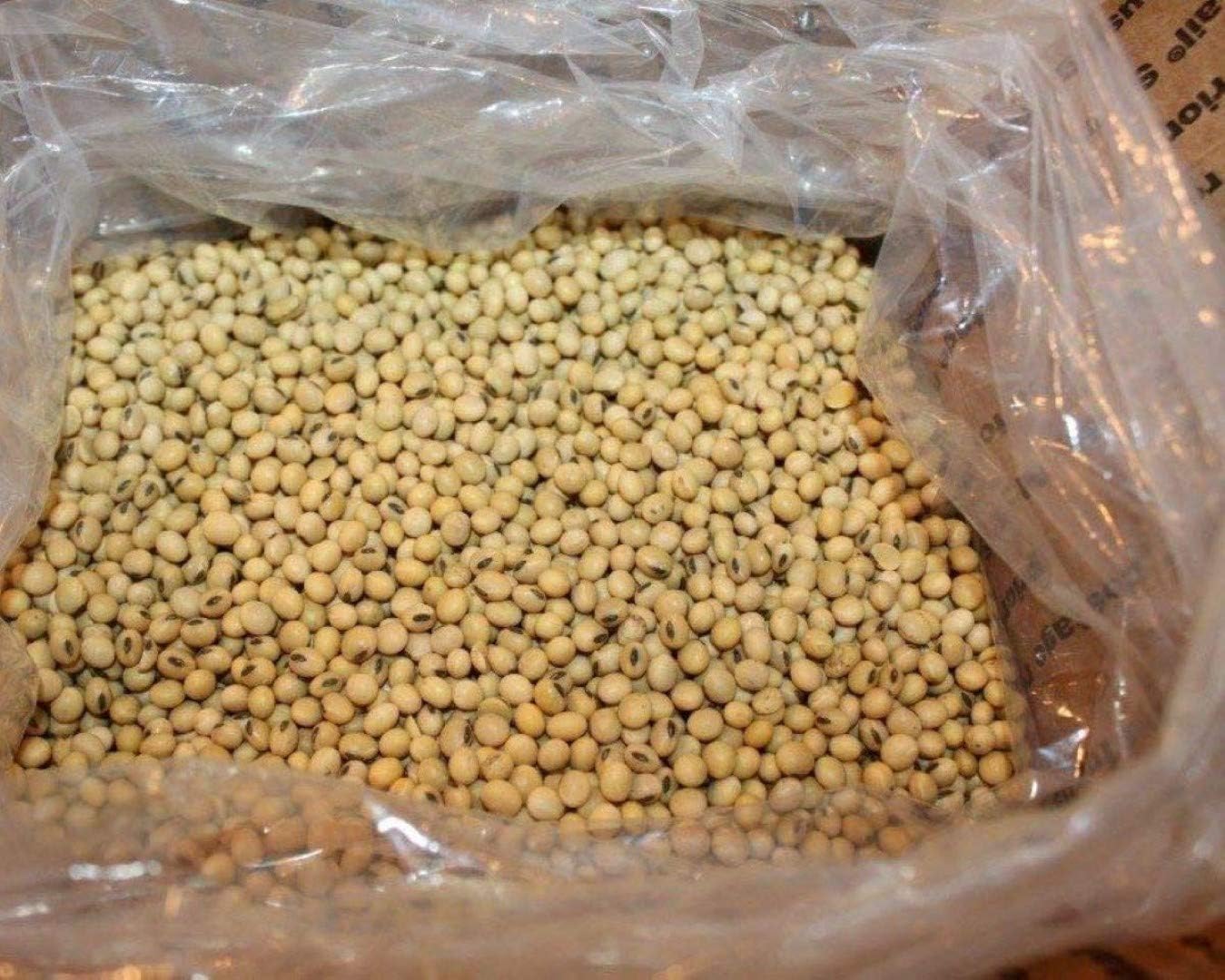 Signature Soy NONGMO Soybeans for Making Soymilk & Tofu