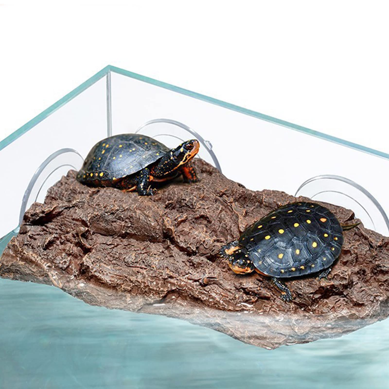 Realistische Baumrinde/Steintextur, Schildkröte, Sonnenplattform, schwimmende Aquarien, Kletterschildkrötenleiter