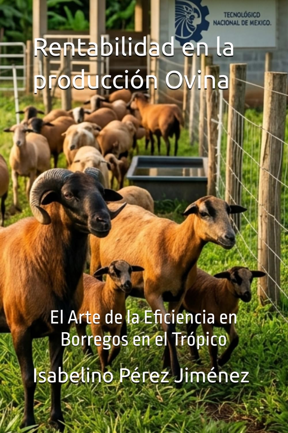 Rentabilidad en la producción Ovina: El Arte de la Eficiencia en Borregos en el Trópico