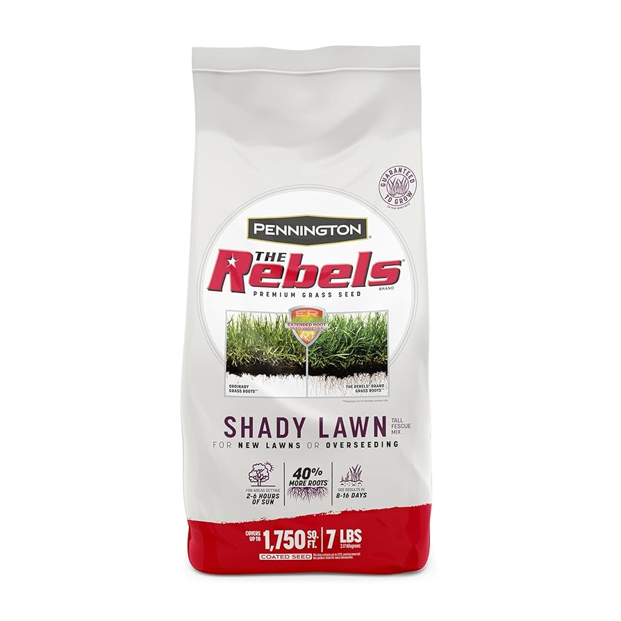 Amazon.com : Pennington The Rebels Tall Fescue Shady Grass