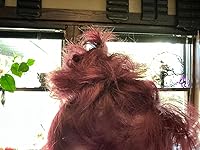 Review Image by AMB AMB