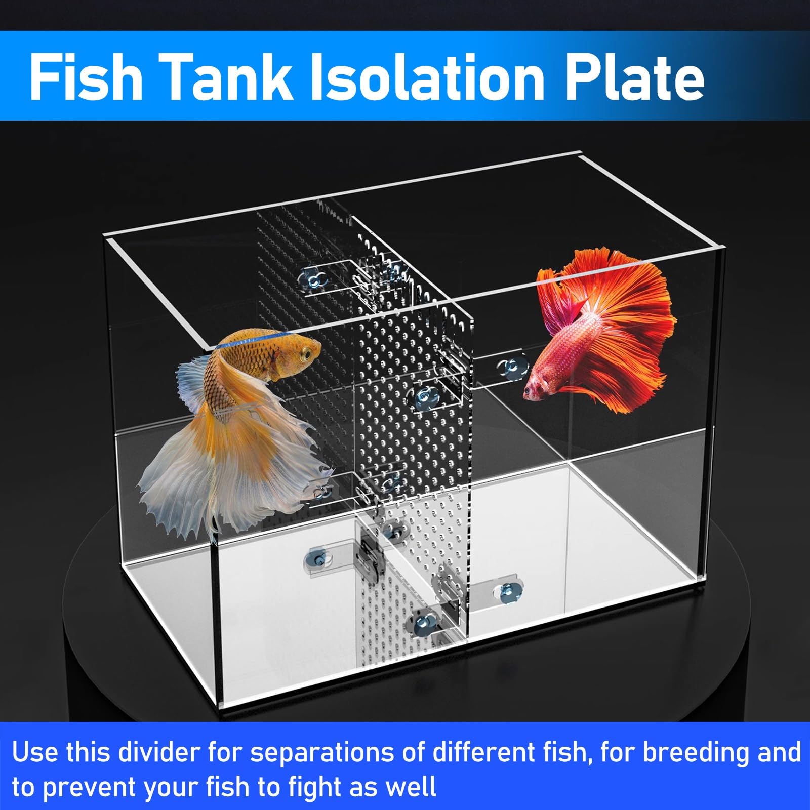 Divisor de Acuario Divisor acrílico transparente para pecera, separador de peces para acuario grande con accesorios para pecera, tablero de rejilla de aislamiento de acuario para peces Betta(38x60cm/1