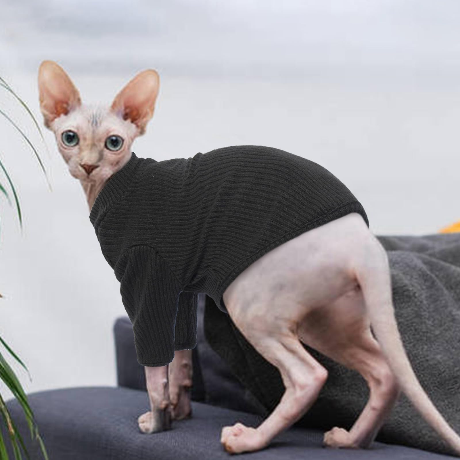 PUMYPOREITY Sphynx Ropa de Algodón sin Pelo Gato Suéter Lindo Cuello Alto Transpirable Camisetas Cuello Redondo Chaleco Camisas Gatitos Ropa Suave (Negro, XL) — view 6