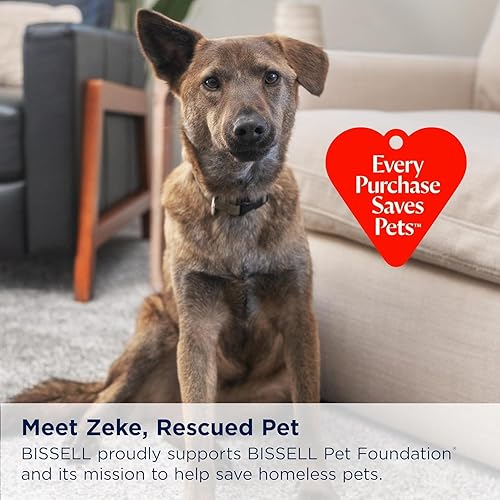 Miniatura 5 de BISSELL 1400B limpiador de alfombra portátil, multiuso, color verde, padre