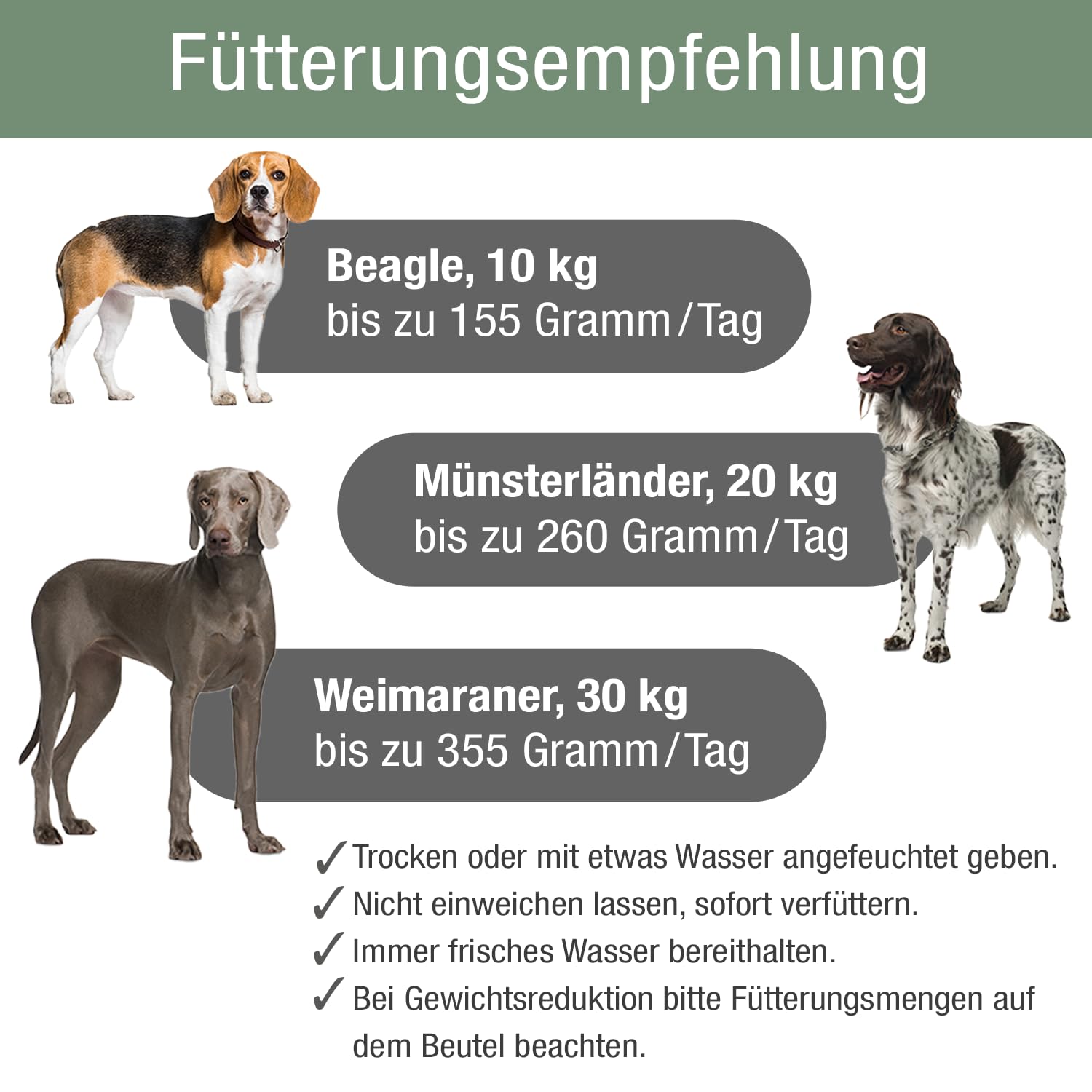 PLATINUM - Hundenahrung VETACTIVE Light aus Fleischsaftgarung - 5kg Hundefutter trocken nährstoffreich wie Barf - besonders schmackhaftes Hundetrockenfutter für Hunde - fett- und kalorienreduziert | Saftiges Trockenfutter aus Frischfleisch für Hunde mit Ü