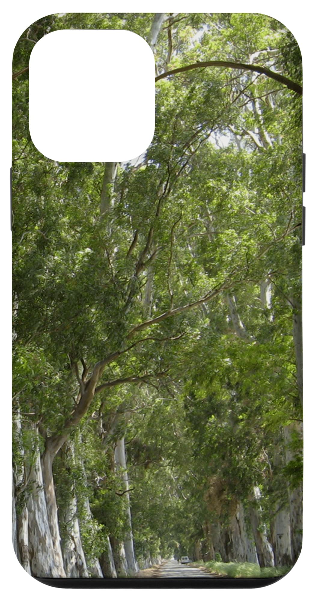 iPhone 12 mini Eucalyptus Tree Canopy Tunnel Akcapinar Gokova Case
