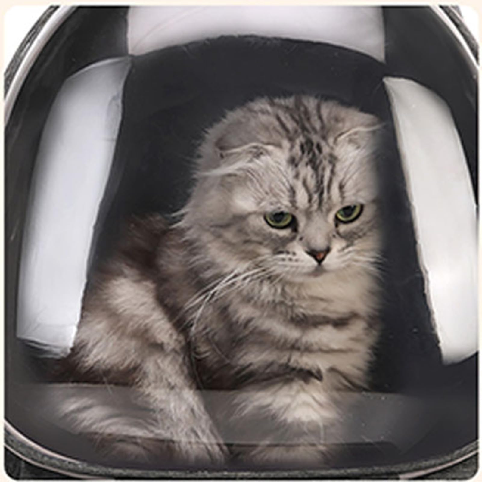 banapoy Katzen-Rucksackträger,Atmungsaktiver Großer Haustier-Rucksack mit Transparentem Fenster für Reisen,Wandern,Spazierengehen,Einkaufen,Auto, Mehrere Lüftungslöcher,Unter 6,8 Kg