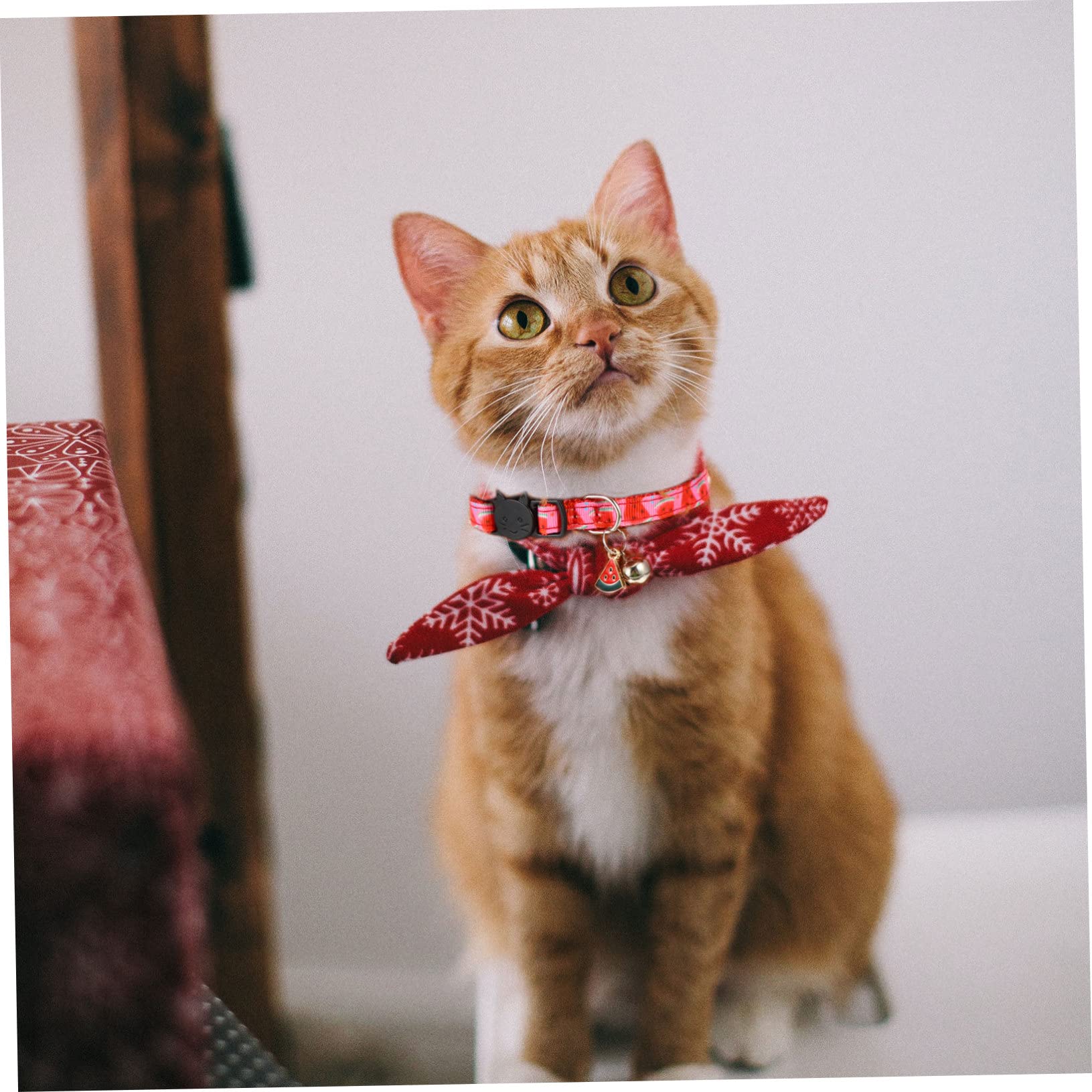 Happyyami 12stücke Teiliges Katzenhalsband Set Mit Einstellbaren Bunten Fruchtigen Designs Inklusive Glöckchen Für Katzen Und Kleine Hunde Perfektes Zubehör Für Jeden Tag Oder Besondere