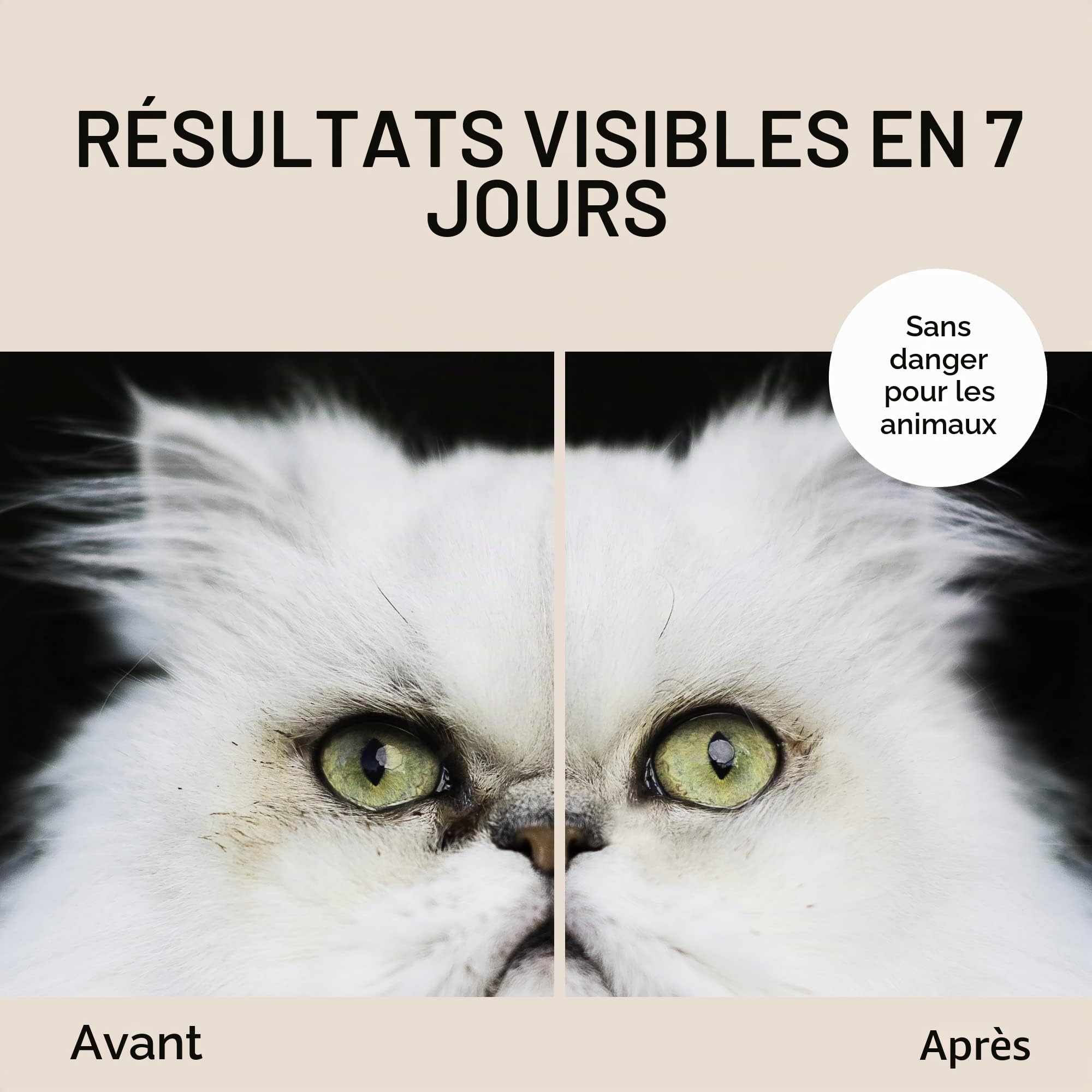 Eye Envy, Lingettes pré-imbibées détachantes pour Chat