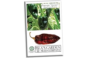 Poblano "Ancho" Hot Chile Pepper Seeds for Planting