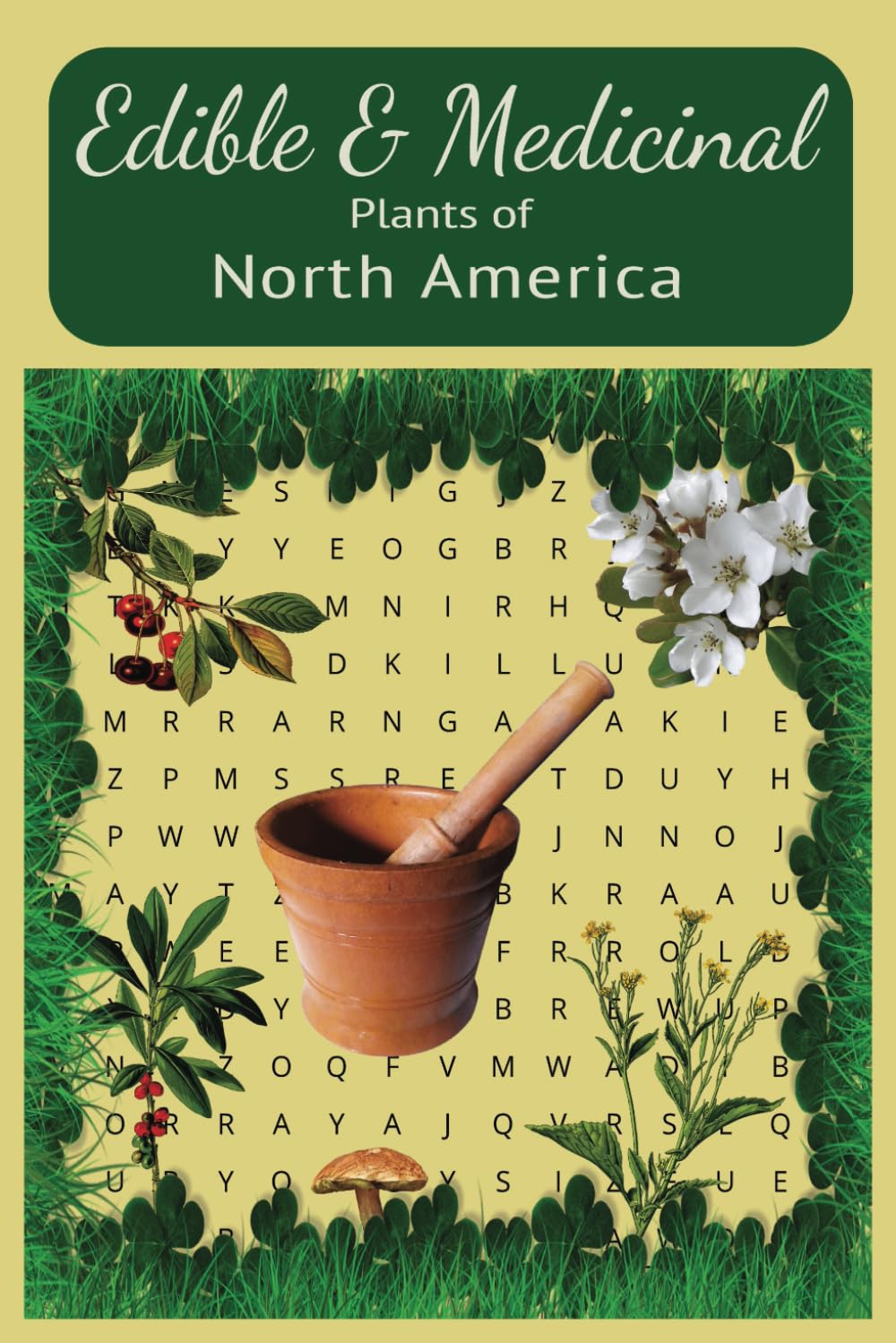 Edible & Medicinal Plants of North America: A Fun word search of medicinal botanicals.