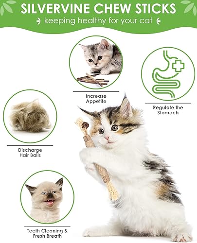 Miniatura 2 de TINDTOP Juguetes masticables para gatos, paquete de 12 palitos masticables Silvervine con 2 bolas de jaula para limpieza de dientes de gatitos,