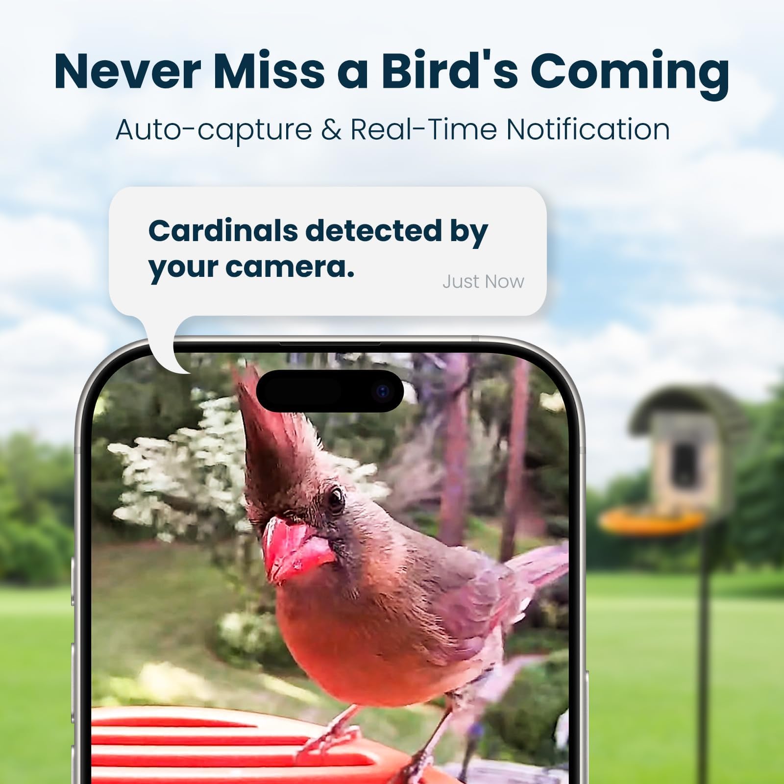 Smart Bird Feeder with Camera - Solar Powered -2