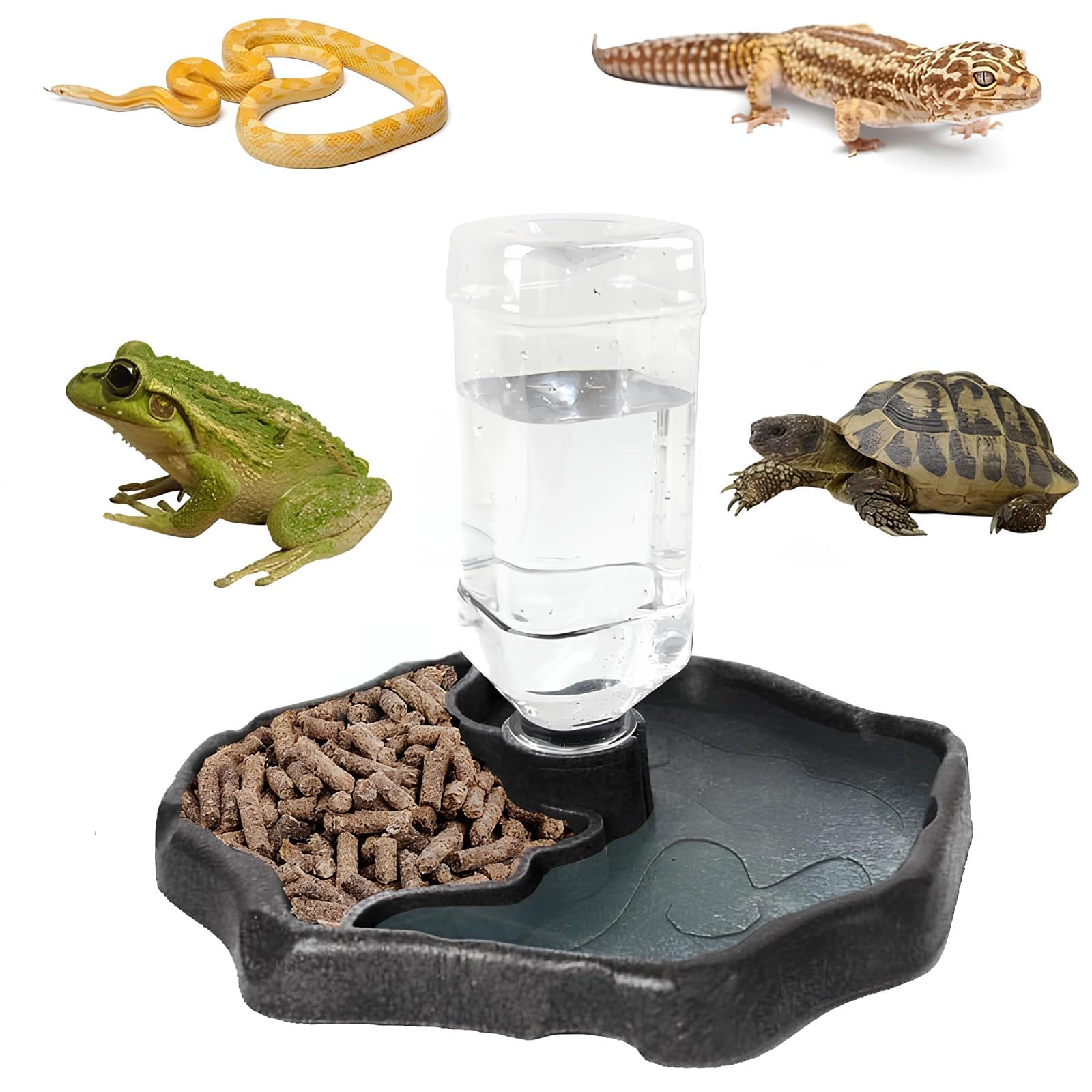Mangeoire à Eau pour Reptiles, Bol d'Eau pour Tortues, Geckos, Serpents