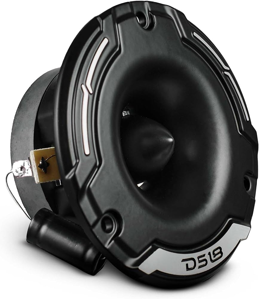 Amazon.com: DS18 PRO-TWZ1 3.8