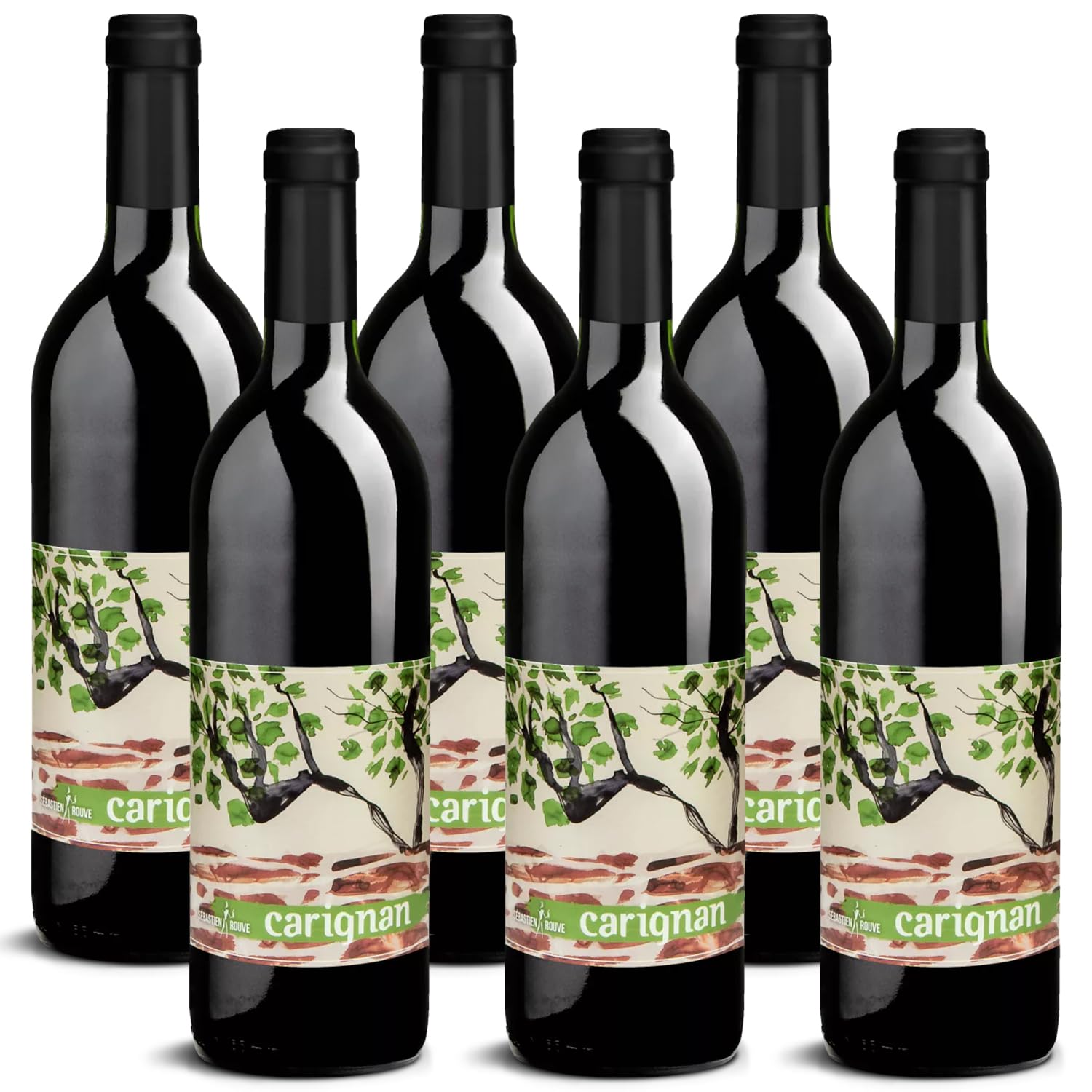 DELINAT – Sébastien Rouve carignan 2022 – Französischer Rotwein trocken – Bio-Wein aus dem Languedoc, vegan (6 x 0,75l)
