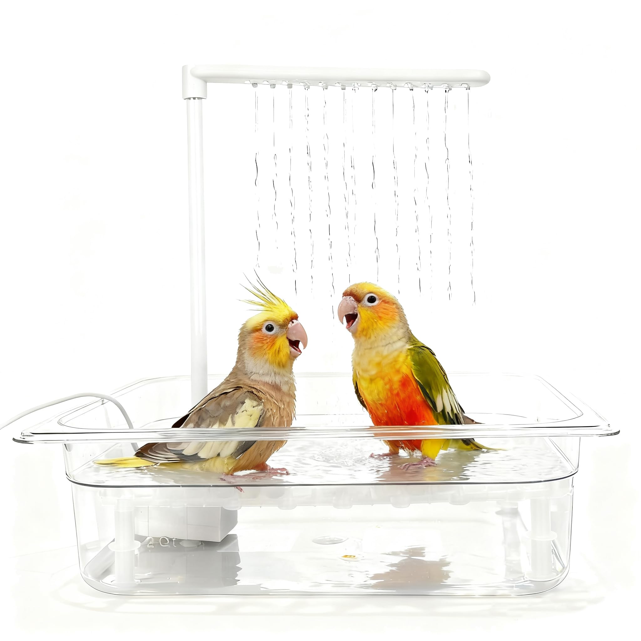 HZDZ LCPAW Bird Bath Tub with USB Pump, Automatic Bird Shower with Adjustable Water Flow, Transparent Acrylic Basin & Mesh Perch for Parakeets, Cockatiels, Conures, Budgies, African Greys, Amazons