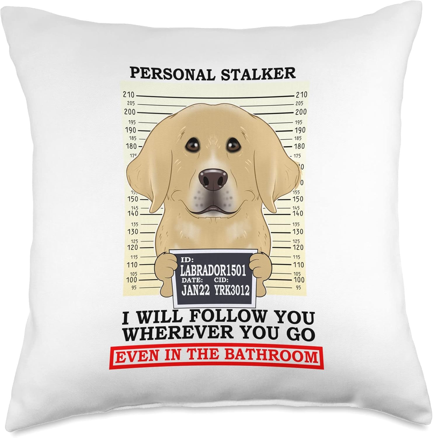 labrador gifts amazon