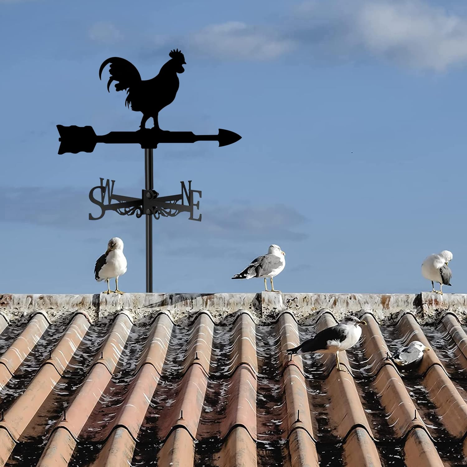 ANCNA-U Exquisite Farmhouse Chickens Weather Vane Metal Weathervane Outdoor Roof Mount, Stainless Rooster Cockerel Decor Measuring Tools, Wind Direction Indicator for Yard Garden Architecture,Chicke