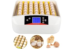 Kebonnixs Incubator: Nurture Birdlife with Cutting-Edge Technology