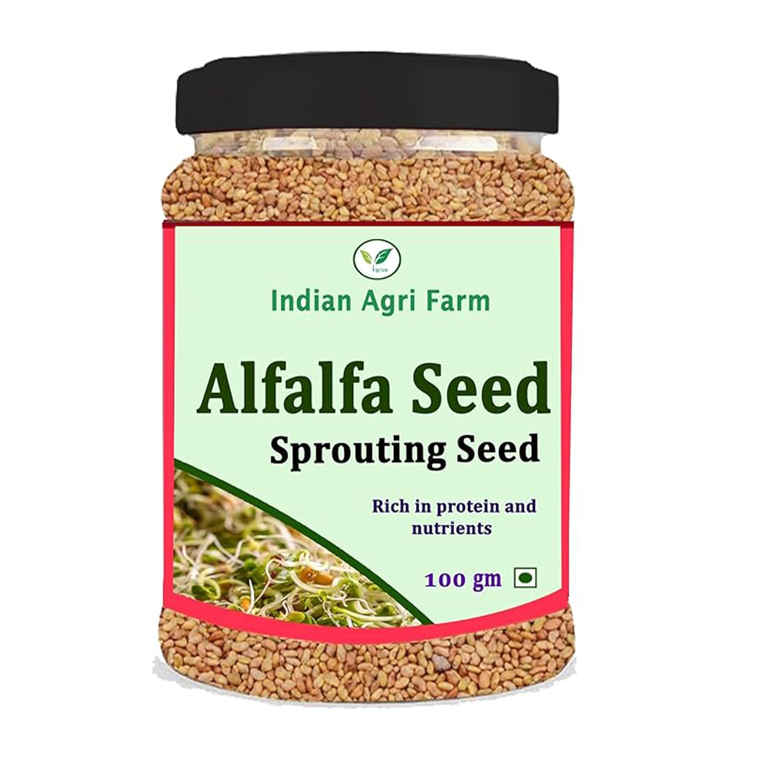 Iagrifarm Alfalfa Seeds for Sprouting - 250 g-image-15