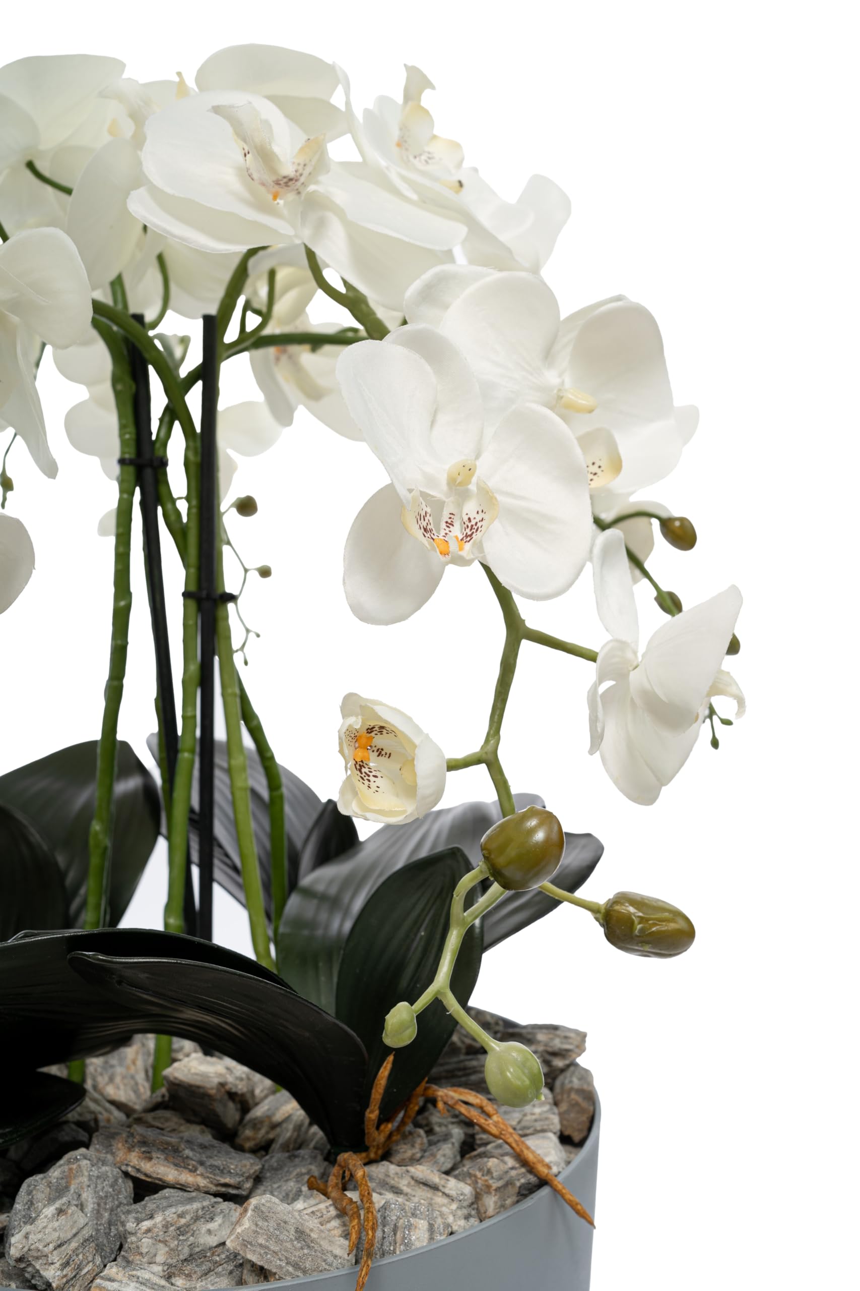 Kunstliche Orchidee weiß xxl im Topf Beton-Optik, 90x40cm groß, realistische Blüten Phalaenopsis, 4 Rispen | industrial, minimalistisch Arrangement, Kunstblumen wie Echt, Hochzeit, Heimdeko