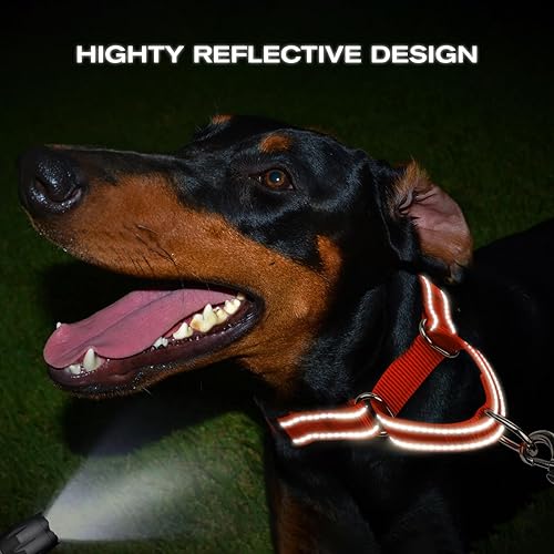 Miniatura 5 de Joytale Collar Martingale para perros, reflectante resistente para mayor seguridad, hebilla de liberación rápida, collares de nailon ajustables para