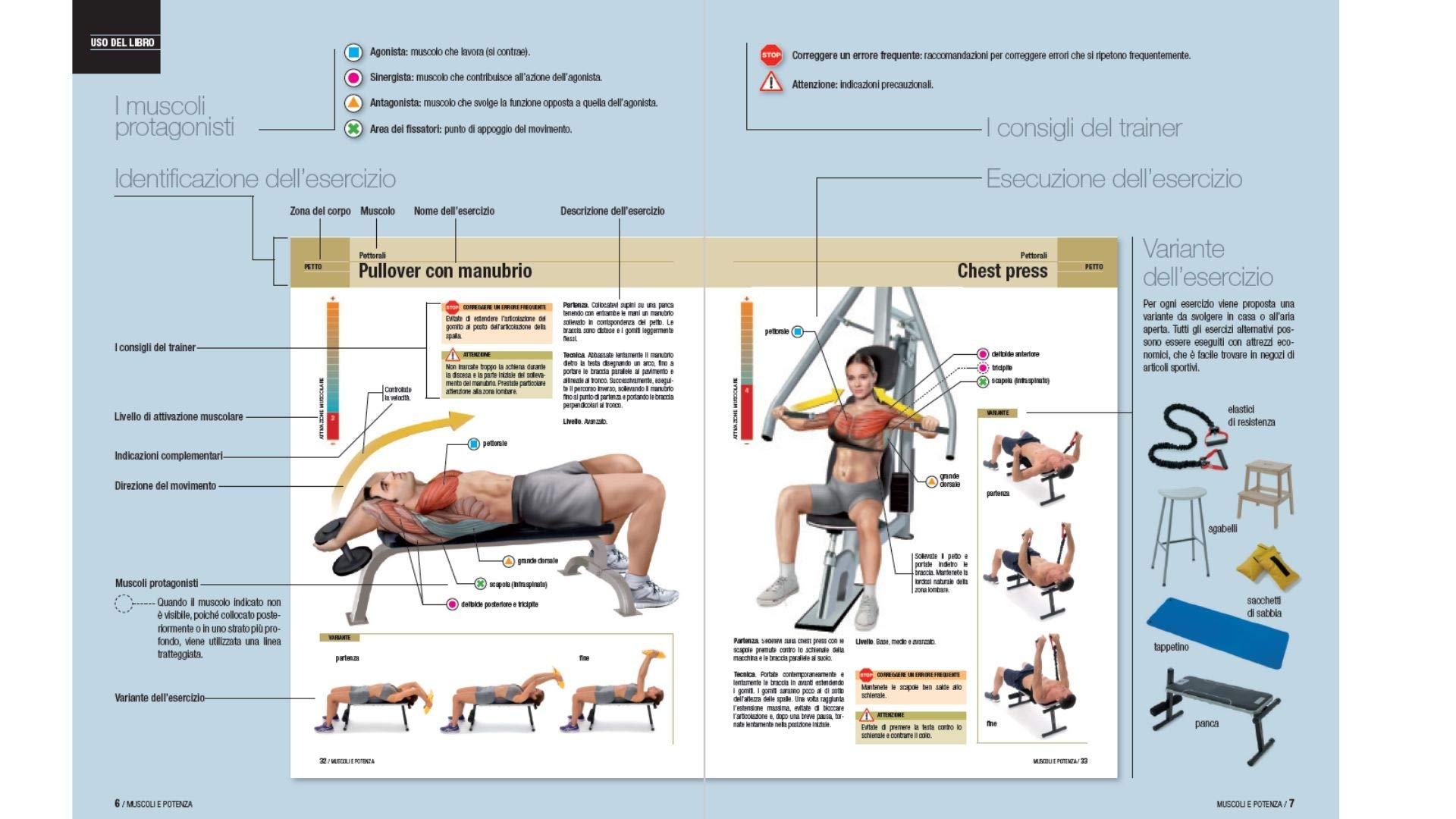 Muscoli e potenza. 84 esercizi con tavole anatomiche