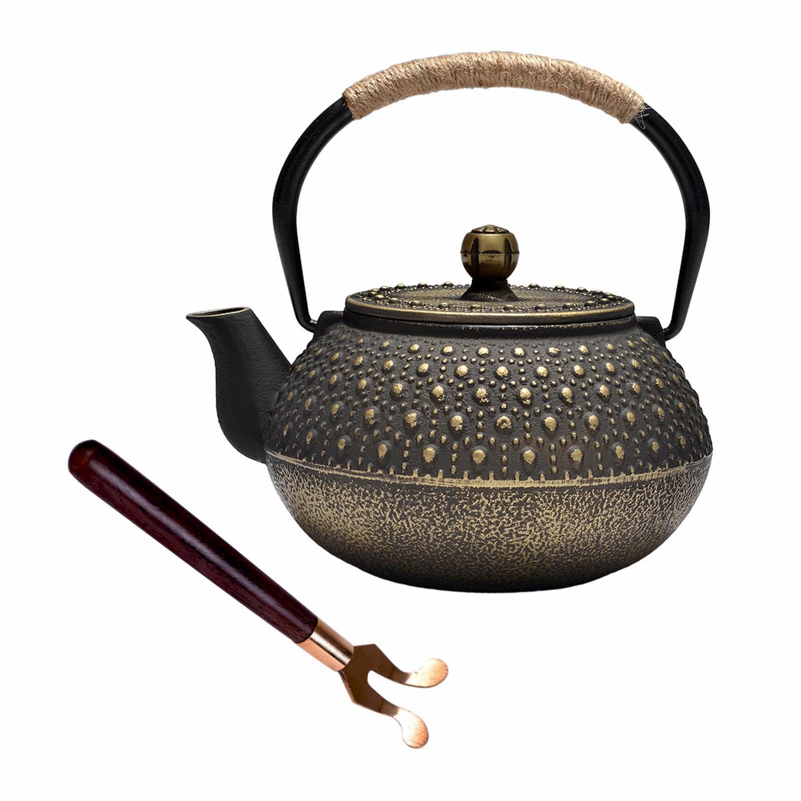Tetera de hierro fundido, tetera japonesa para doméstico, exterior, camping, diseñada para preparar infusiones, hervidor de agua para cocina, hotel.