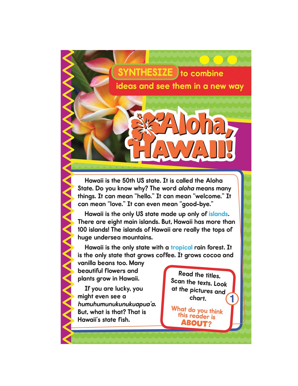 Guided Reading Synthesize Grades 1-2: Synthesize Resource Book