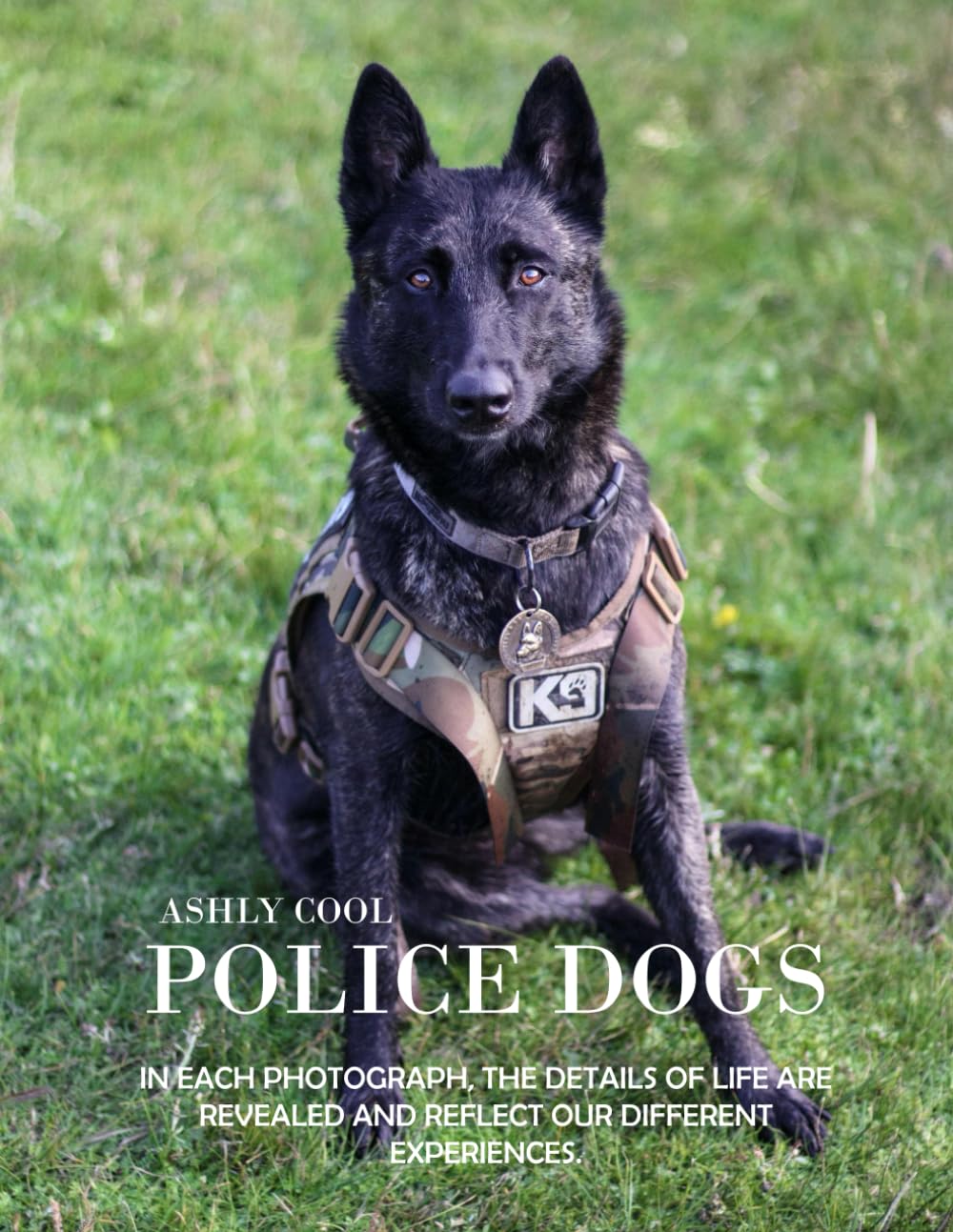 Police dogs: Exploring Police Dogs: A Visual Journey Through the Brave Lives of Law Enforcement Canines