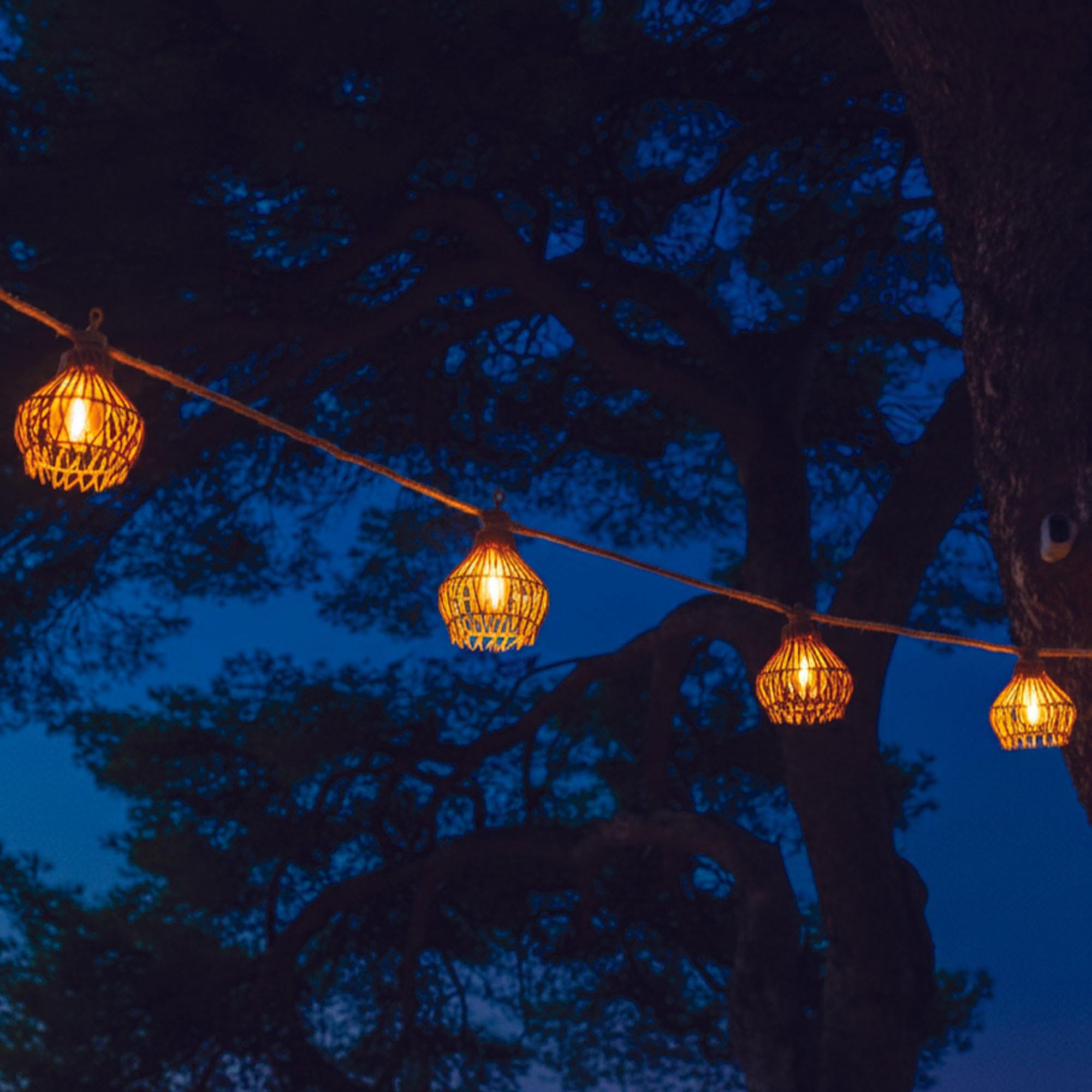 Binnen-buiten verlichting lichtsnoer 10 meter met warm witte led lampjes - Cadeaus & gadgets kopen? | Korting tot 54