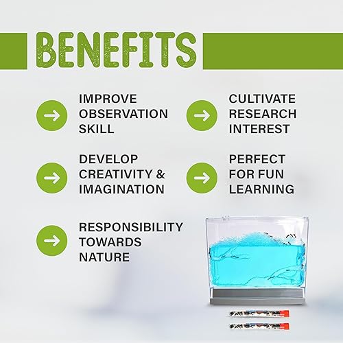 Miniatura 4 de Live Blue Gel Hábitat enviado con 50 hormigas vivas ahora 2 tubos de hormigas