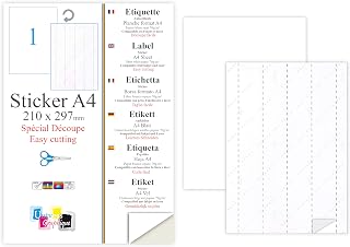 100 Blatt DIN A4 Etiketten "Kreation individuelle" (210 x 297 mm) 5 individuell ablösbare Trägerblattstreifen auf der Rückseite. Kompatibel mit allen gängigen Drucksystemen und Softwareprogrammen