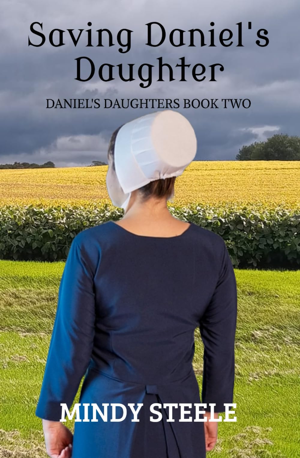 Saving Daniel's Daughter:: Daniel's Daughters, Book Two (Daniel's Daughters series)
