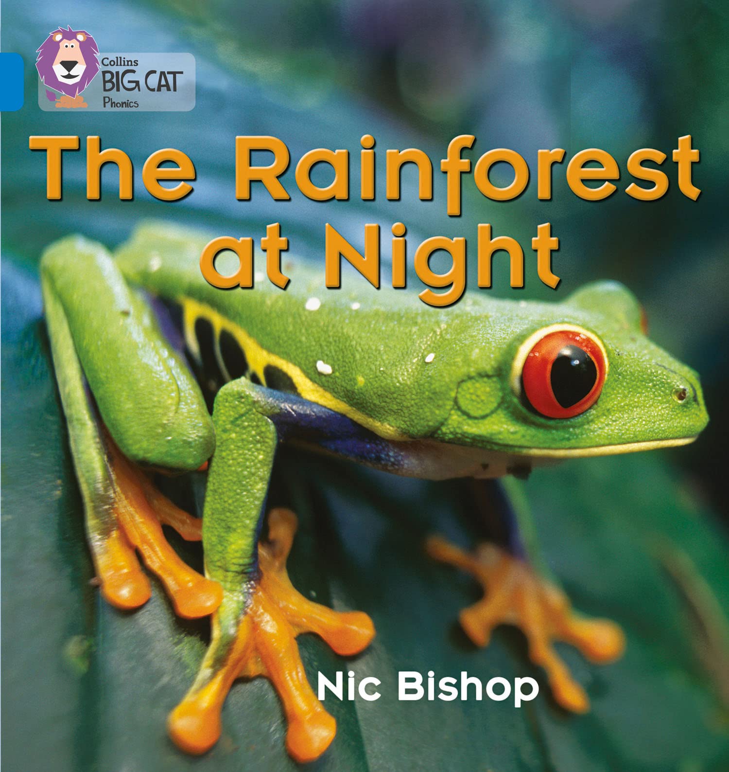 The Rainforest at Night: Meet the animals and insects that live in the rainforest (Collins Big Cat Phonics)