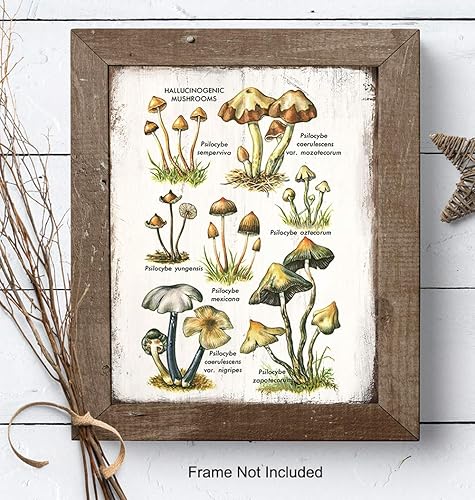 Miniatura 7 de Arte psicodélico alucinógeno medicinal de hongos mágicos botánicos – Esporas de Psilocibina Trippy Decoración de pared – Decoración psicodélica de