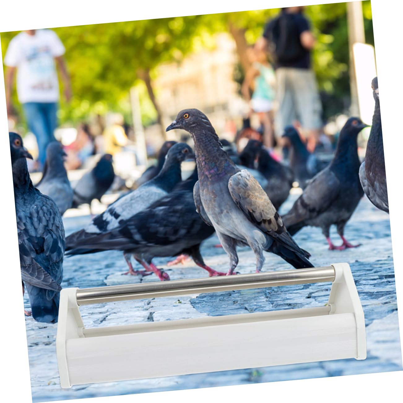 Comedero para Palomas de Acero Inoxidable Blanco, 2 Piezas | Ligero y Anti-salpicaduras, Apto para Aves en Campos y Patios, Diseño Dispensador de Alimento