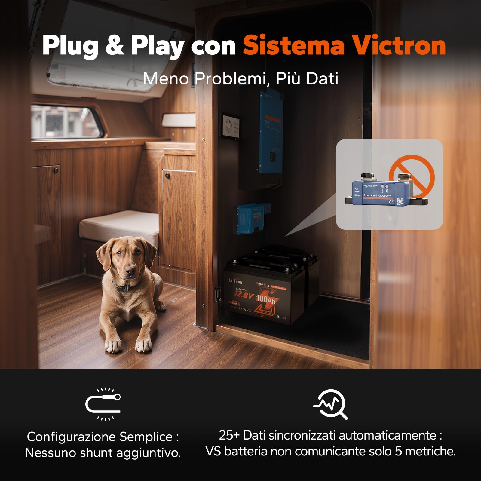 LiTime Batteria Litio 12V 100Ah LiFePO4 CAN/RS485 per Accumulo Fotovoltaico | Bluetooth, BMS 100A, Max 15000 Cicli, Energia 1280Wh, IP65, Protezione Basse Temperature, Max 4P4S, per Camper, Yacht, Barche