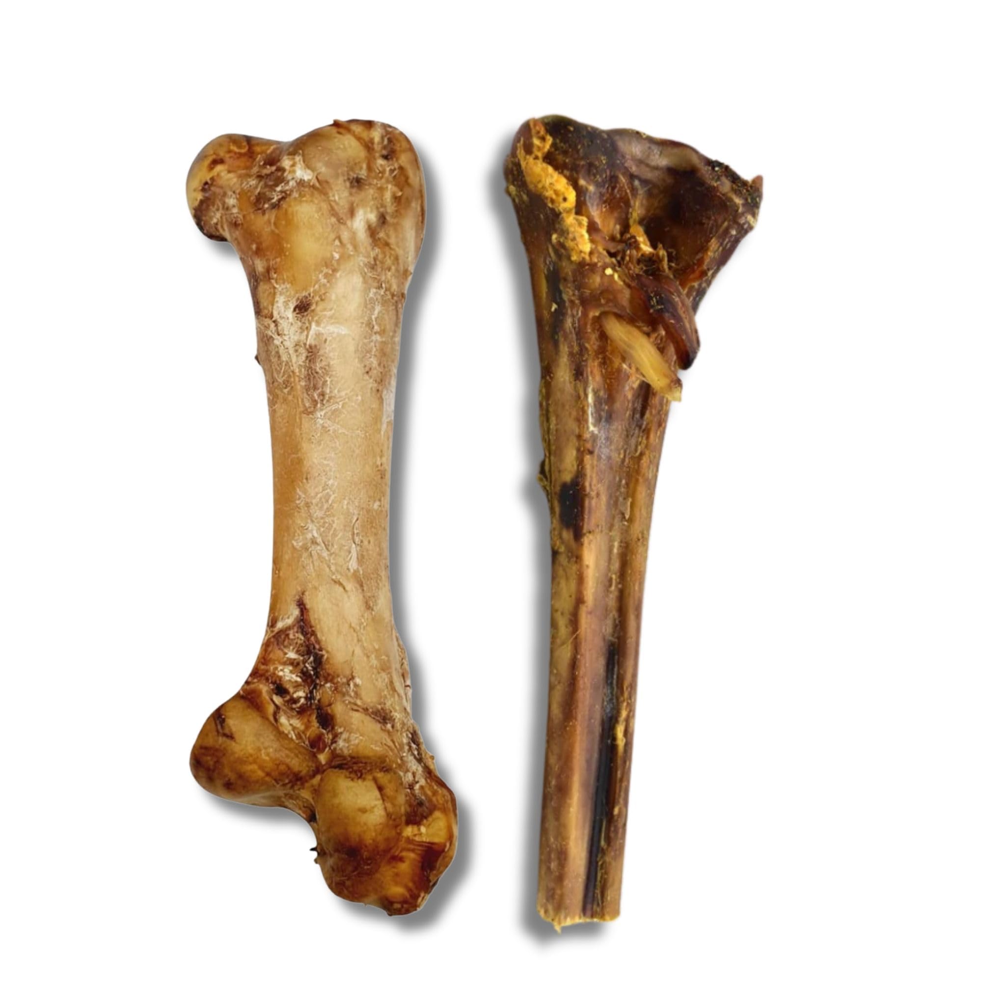 Ostrich 1x Dino Bone 1x Metatarsus Bone For Dogs - Natural Dog Bones