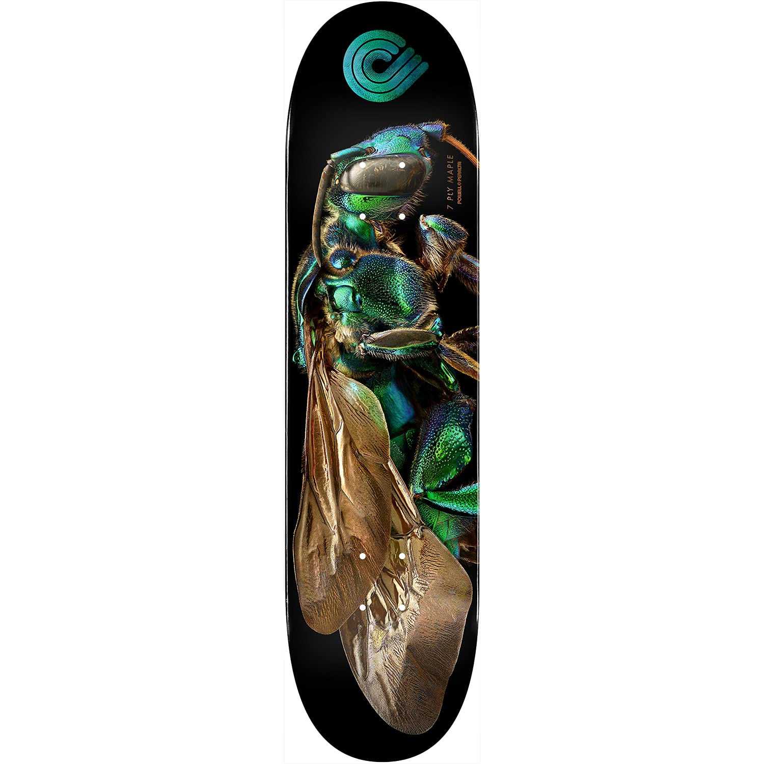 Powell PeraltaDecks - Skateboard Decks (Bundled with Free 1" Hardware Set) - Skateboarding