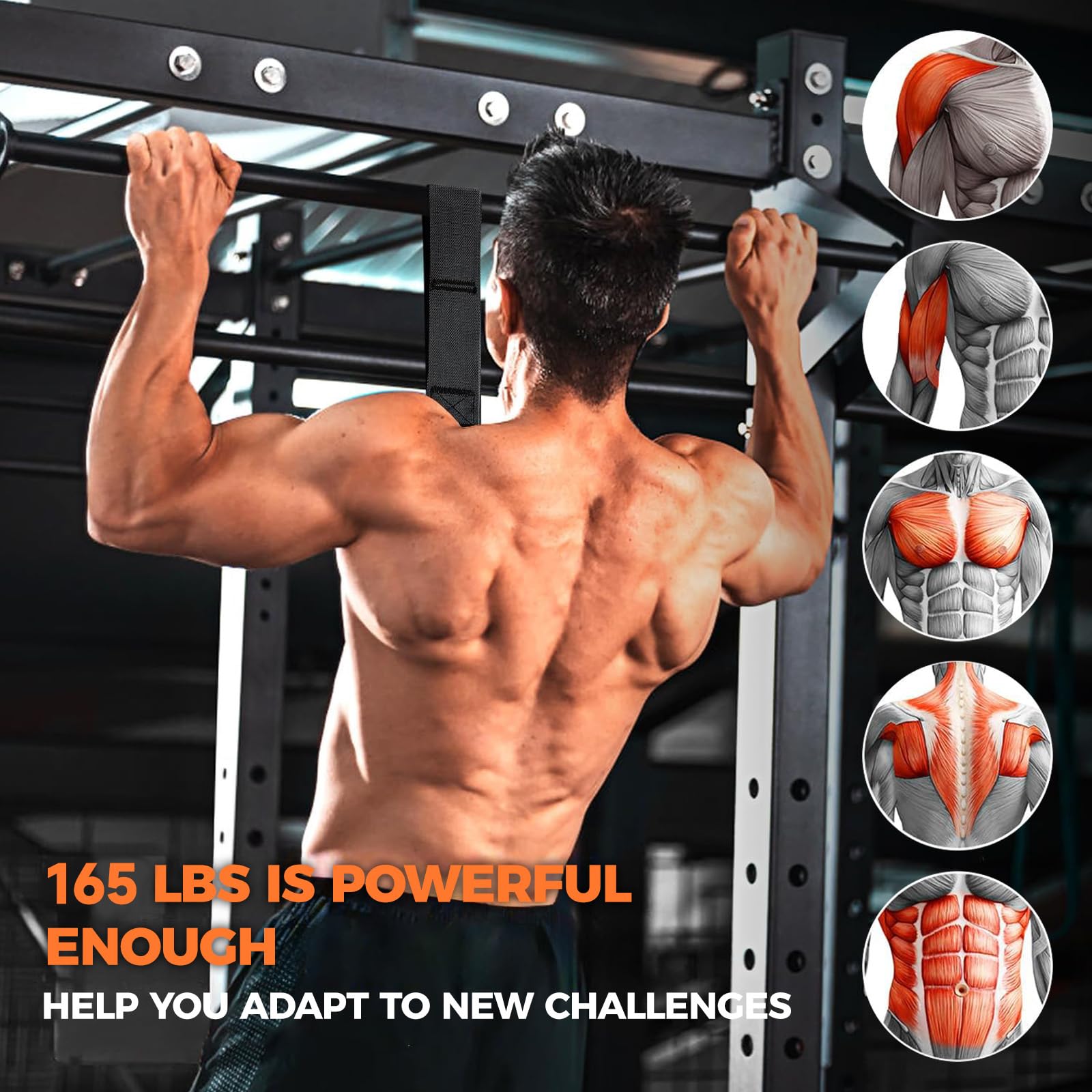 INNSTAR Bande Elastiche Resistenza Pull up -Regolabile e Rimovibil Bande Elastici Fitness per trazioni casa e Palestra, per Stretching, Allenamenti di Resistenza, Potenziamento Muscolare