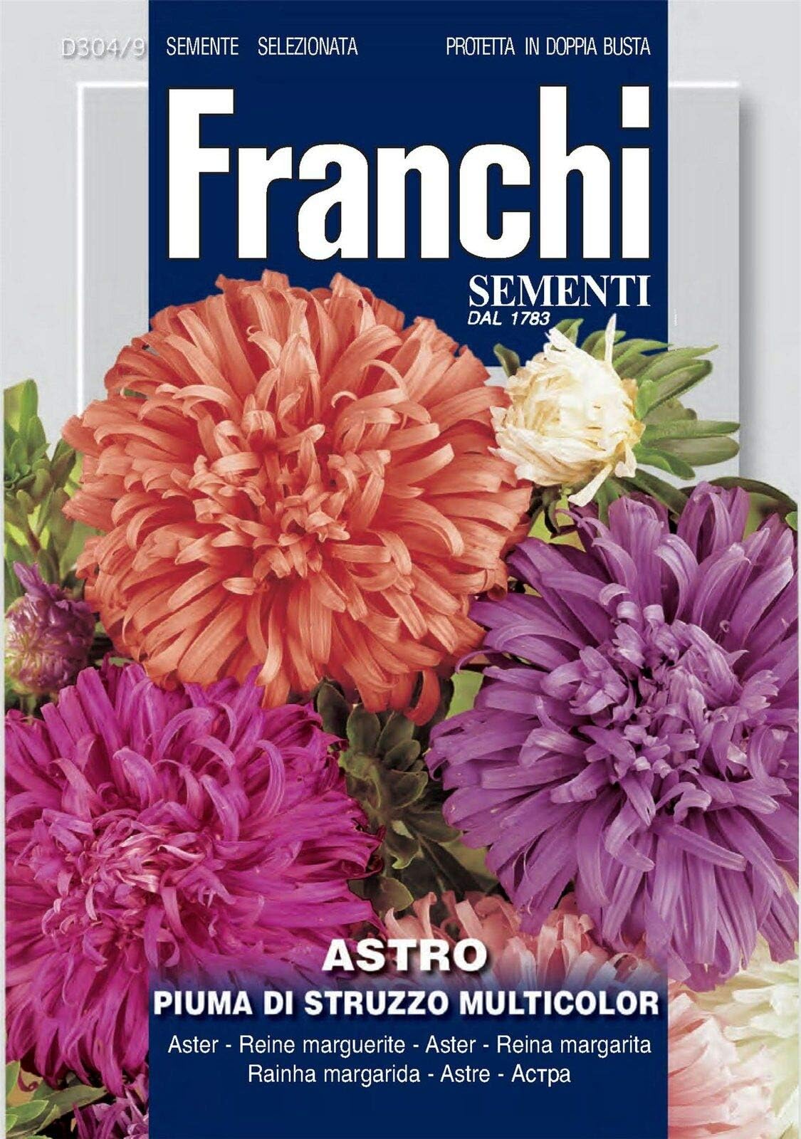 Aster Premium Seeds (Multicolor)