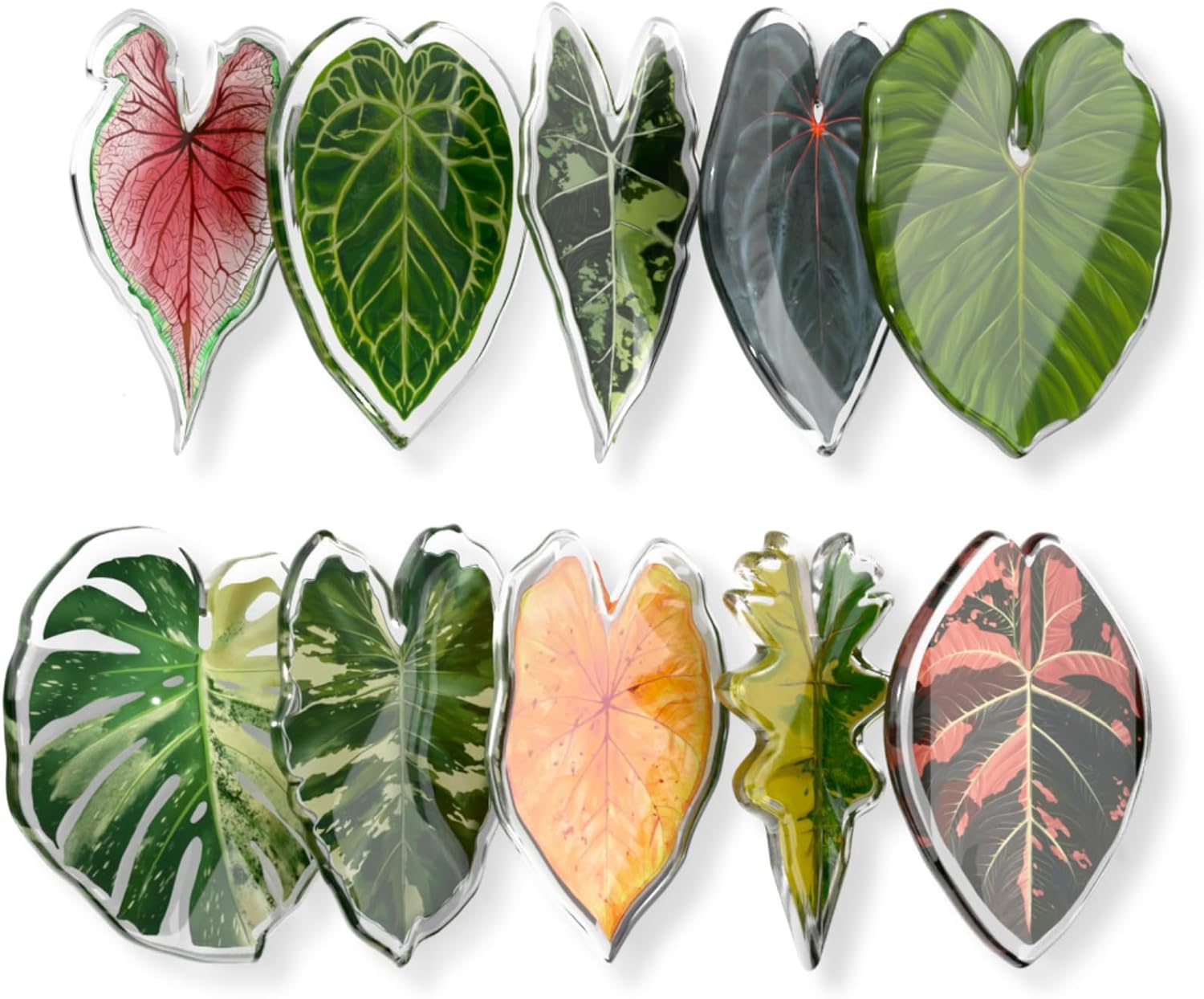 Fridge Magnets Kitchen Magnets, Plant Themed Refrigerator Magnets, Ideal Decor for Home, School Locker and Office, Funny Gift Home Decor Fridge Magnets Kitchen Magnets, Plant Themed Refrigerator Magnets, Ideal Decor for Home, School Locker and Office, Funny Gift Home Decor