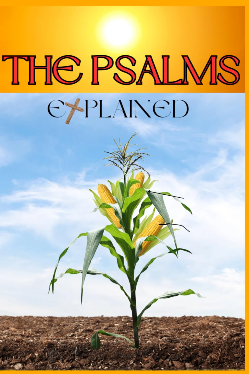 THE PSALMS EXPLAINED