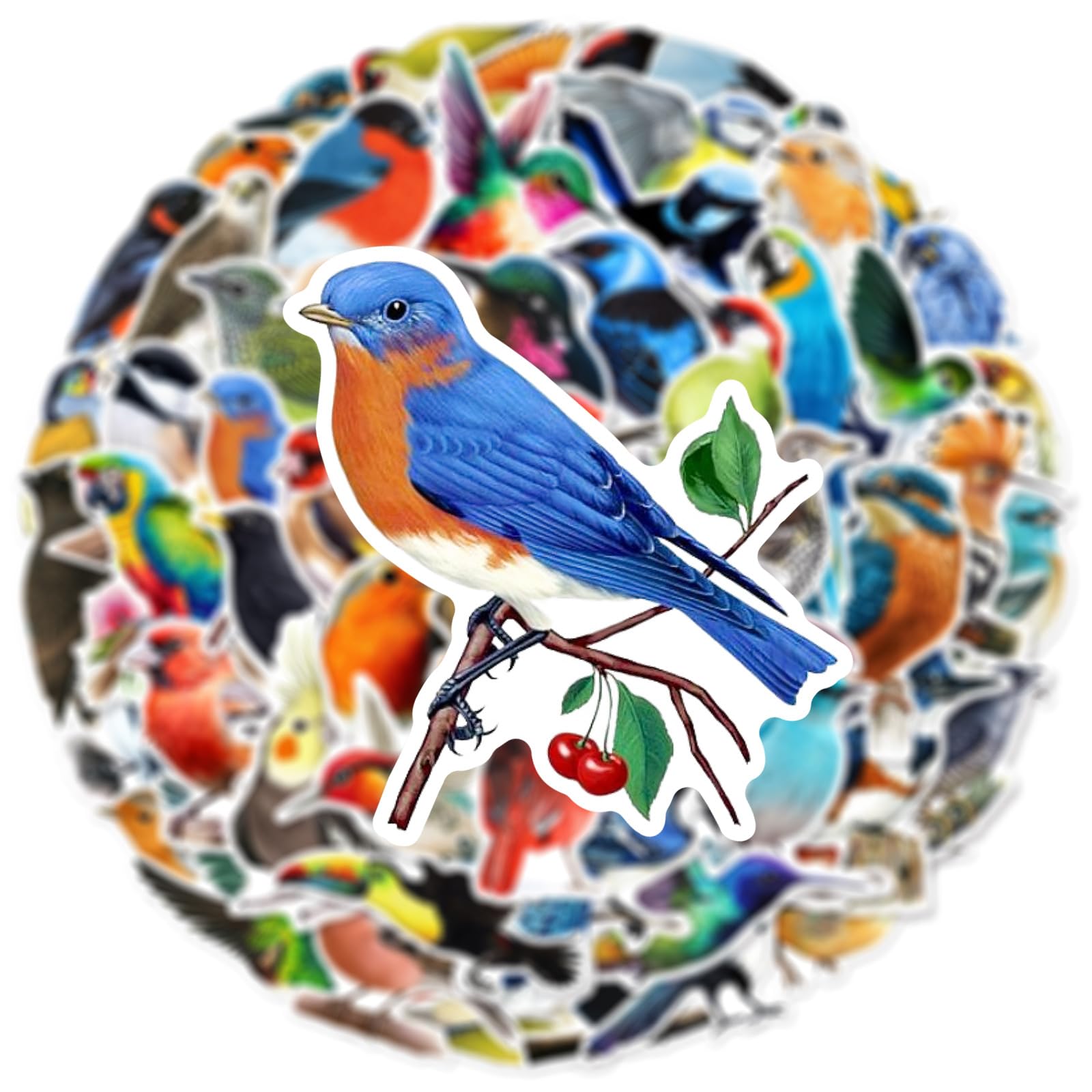 50PCS Watercolor Bird Stickers for Water Bottles Laptop Notebook Refrigerators Computer Phone Skateboard Luggage Journal Scrapbook Helmet,Cute Cartoon Birds Waterproof Decals for Adult Kids Teen - Image 4