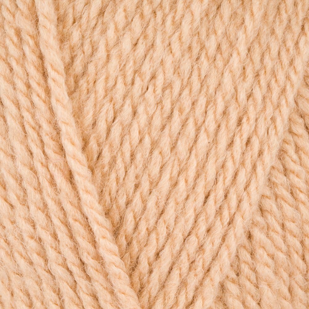Stylecraft Special Aran with Wool - Champagne (5507)